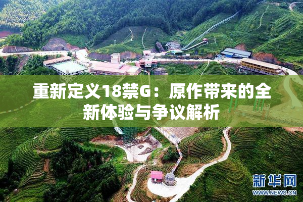 重新定义18禁G：原作带来的全新体验与争议解析