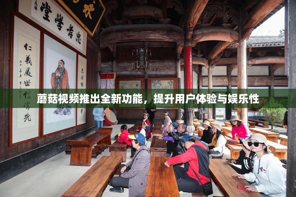 蘑菇视频推出全新功能，提升用户体验与娱乐性