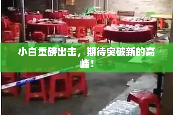 小白重磅出击，期待突破新的高峰！