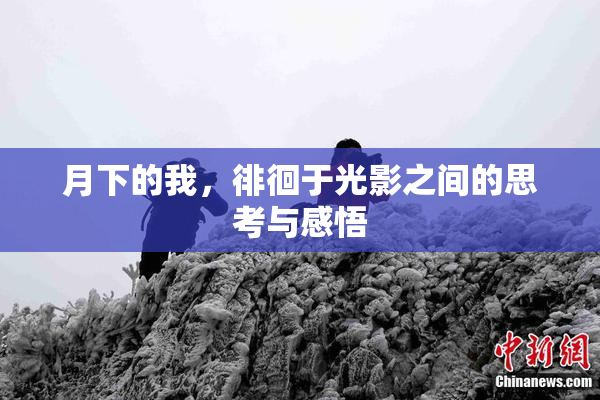 月下的我，徘徊于光影之间的思考与感悟