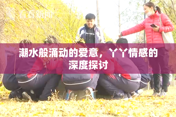 潮水般涌动的爱意，丫丫情感的深度探讨