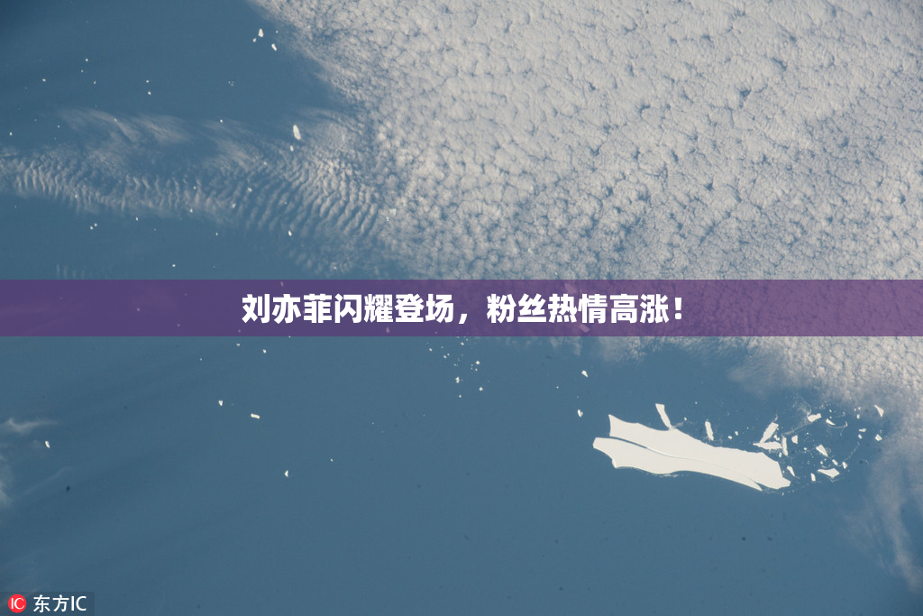 刘亦菲闪耀登场，粉丝热情高涨！