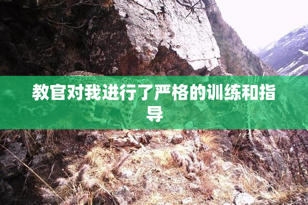 教官对我进行了严格的训练和指导