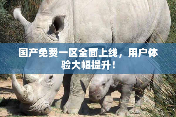 国产免费一区全面上线，用户体验大幅提升！