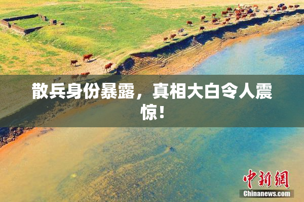 散兵身份暴露，真相大白令人震惊！