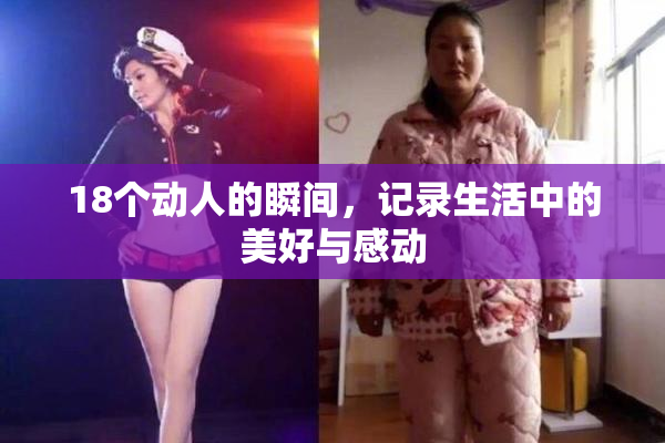 18个动人的瞬间，记录生活中的美好与感动