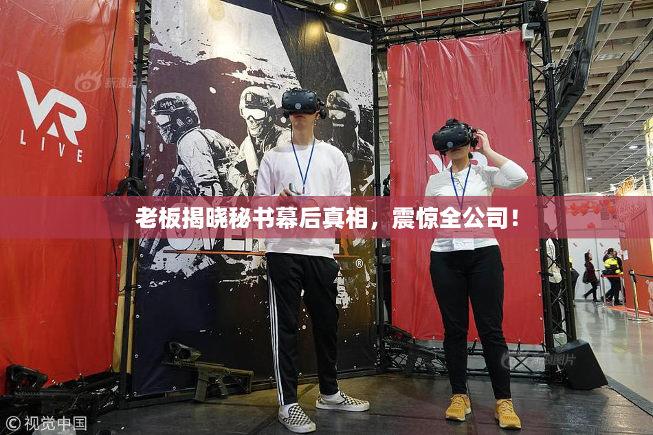 老板揭晓秘书幕后真相，震惊全公司！