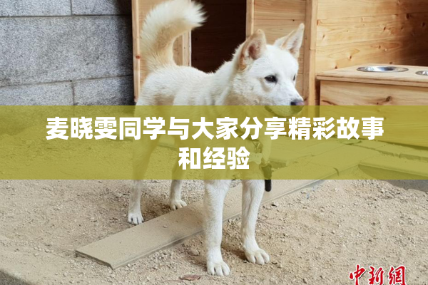麦晓雯同学与大家分享精彩故事和经验