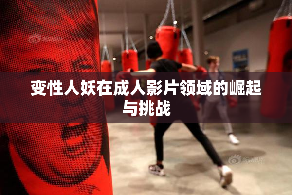 变性人妖在成人影片领域的崛起与挑战