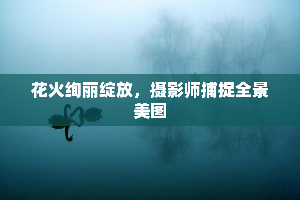 花火绚丽绽放，摄影师捕捉全景美图