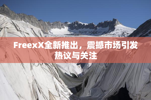 FreexX全新推出，震撼市场引发热议与关注