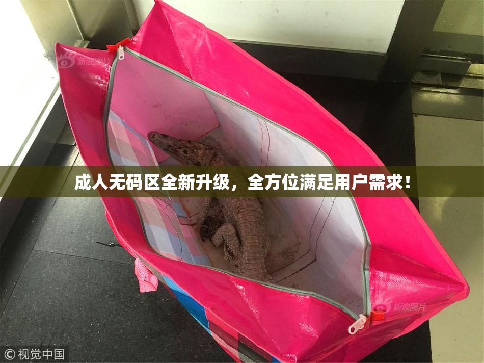 成人无码区全新升级，全方位满足用户需求！