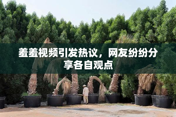 羞羞视频引发热议，网友纷纷分享各自观点