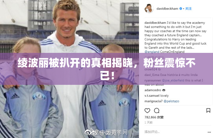 绫波丽被扒开的真相揭晓，粉丝震惊不已！