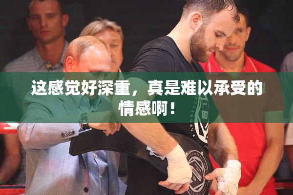 这感觉好深重，真是难以承受的情感啊！