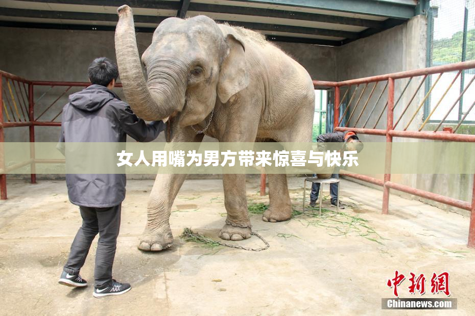 女人用嘴为男方带来惊喜与快乐