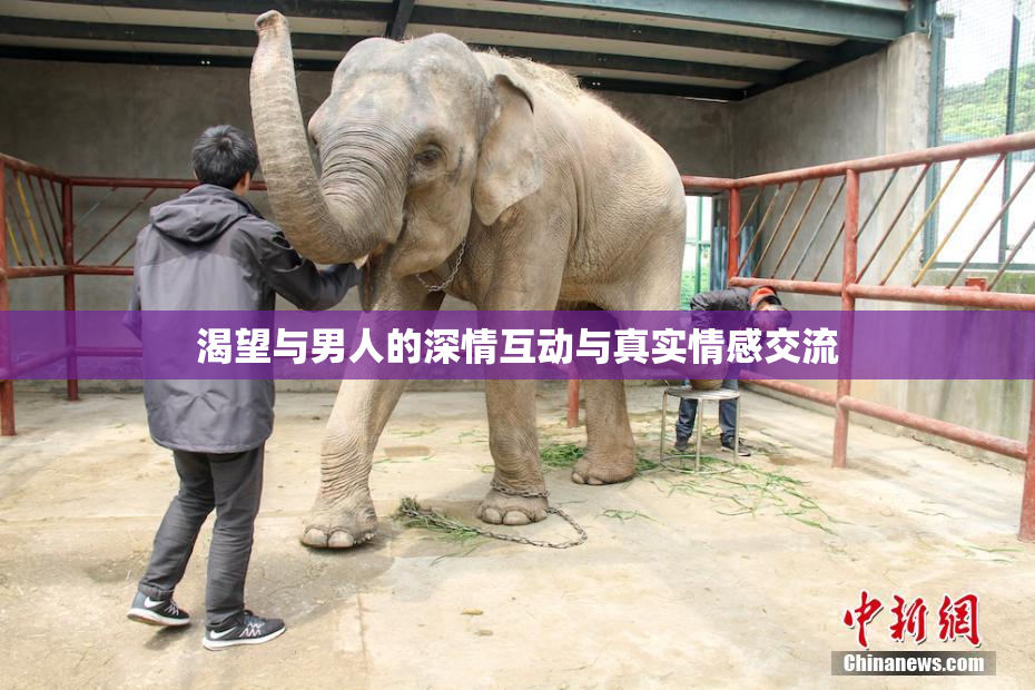 渴望与男人的深情互动与真实情感交流