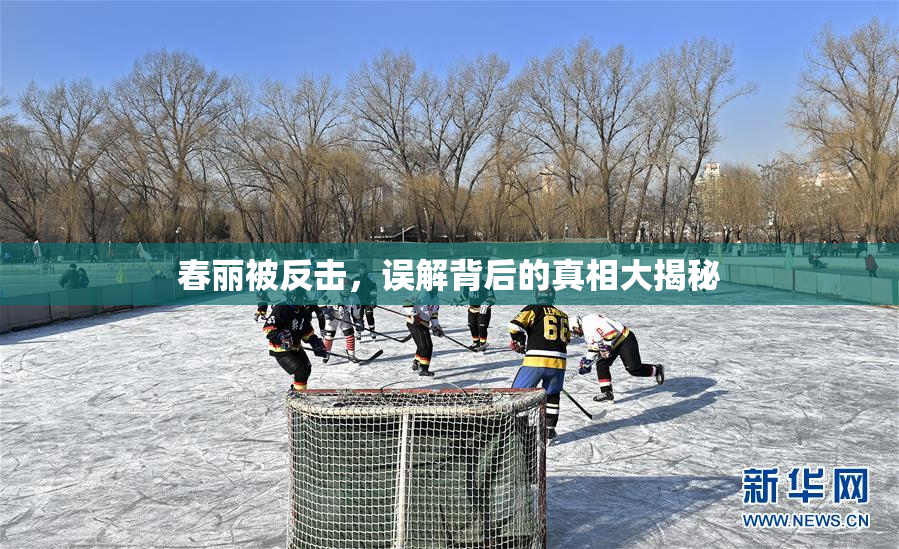 春丽被反击，误解背后的真相大揭秘