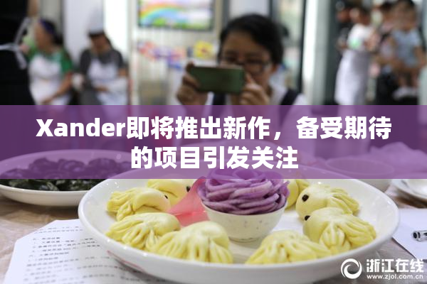 Xander即将推出新作，备受期待的项目引发关注