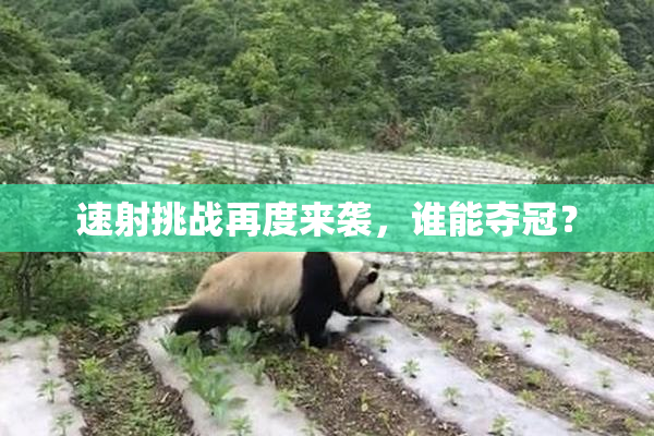 速射挑战再度来袭，谁能夺冠？