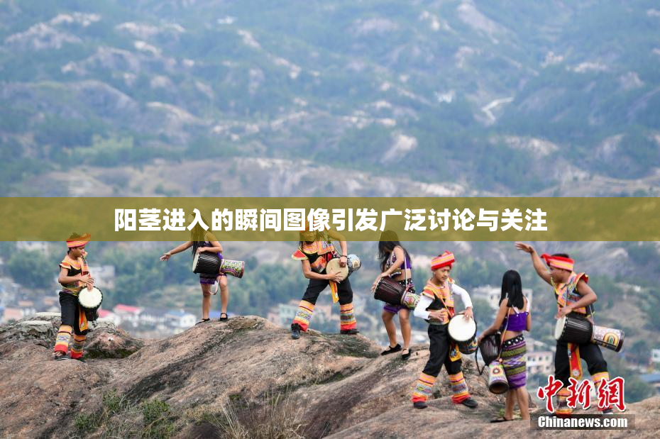 阳茎进入的瞬间图像引发广泛讨论与关注