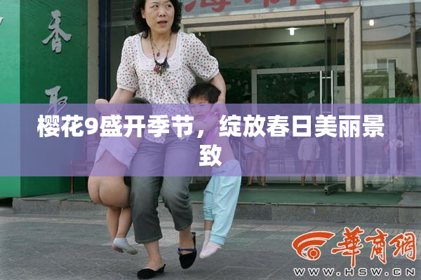 樱花9盛开季节，绽放春日美丽景致