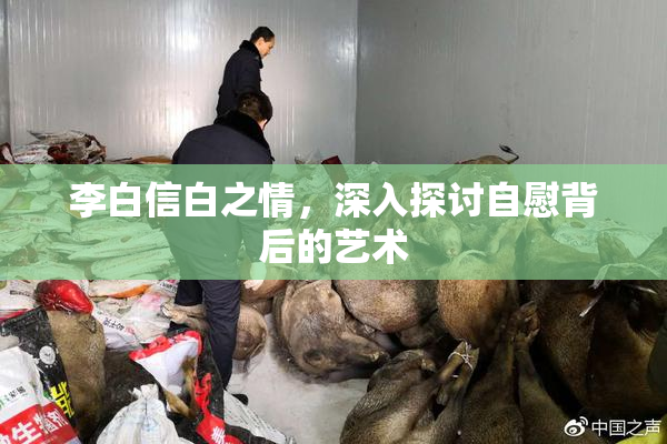 李白信白之情，深入探讨自慰背后的艺术
