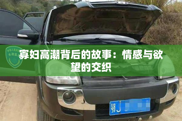 寡妇高潮背后的故事：情感与欲望的交织