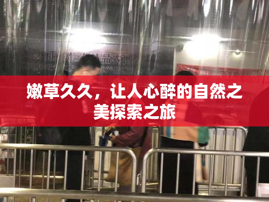 嫩草久久，让人心醉的自然之美探索之旅