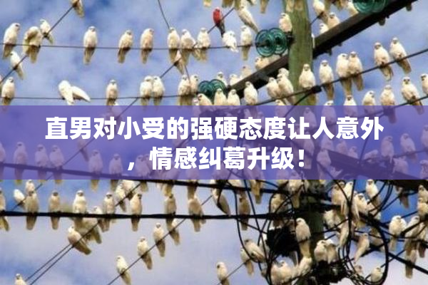 直男对小受的强硬态度让人意外，情感纠葛升级！