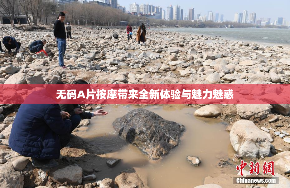 无码A片按摩带来全新体验与魅力魅惑