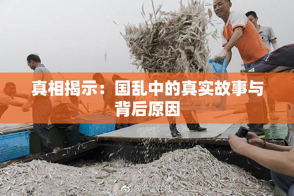 真相揭示：国乱中的真实故事与背后原因