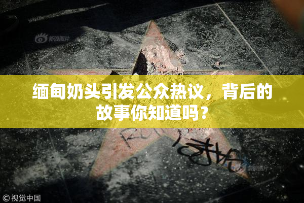 缅甸奶头引发公众热议，背后的故事你知道吗？