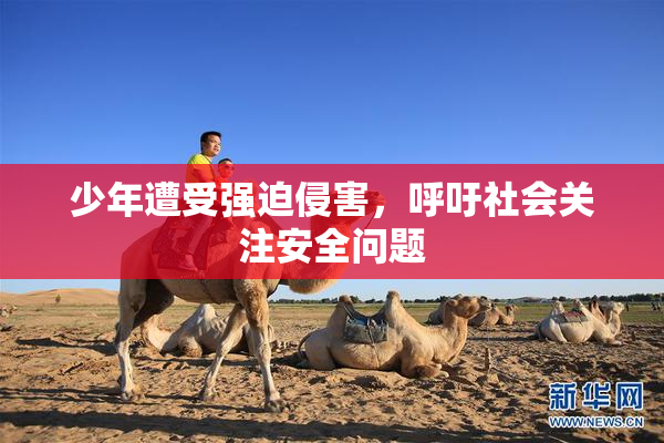 少年遭受强迫侵害，呼吁社会关注安全问题