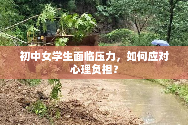 初中女学生面临压力，如何应对心理负担？
