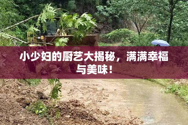 小少妇的厨艺大揭秘，满满幸福与美味！
