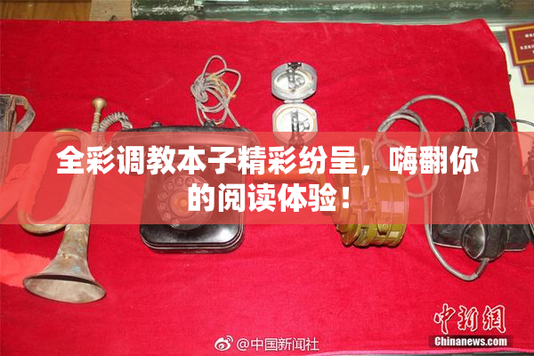全彩调教本子精彩纷呈，嗨翻你的阅读体验！