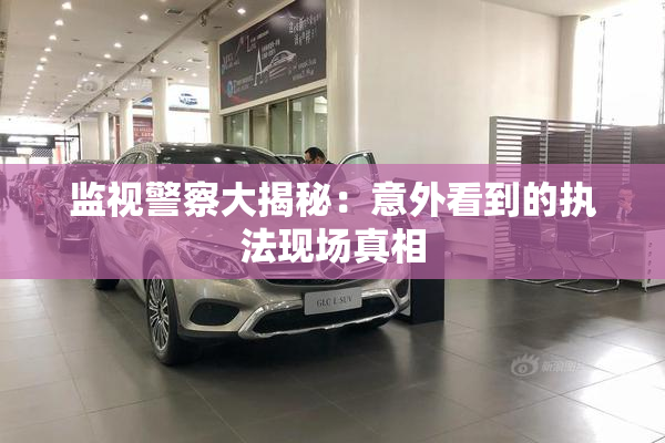 监视警察大揭秘：意外看到的执法现场真相