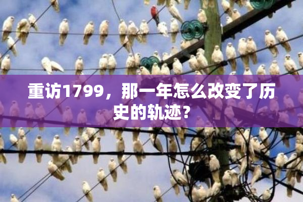 重访1799，那一年怎么改变了历史的轨迹？