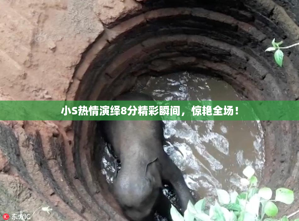 小S热情演绎8分精彩瞬间，惊艳全场！