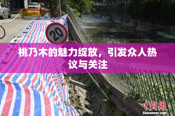 桃乃木的魅力绽放，引发众人热议与关注