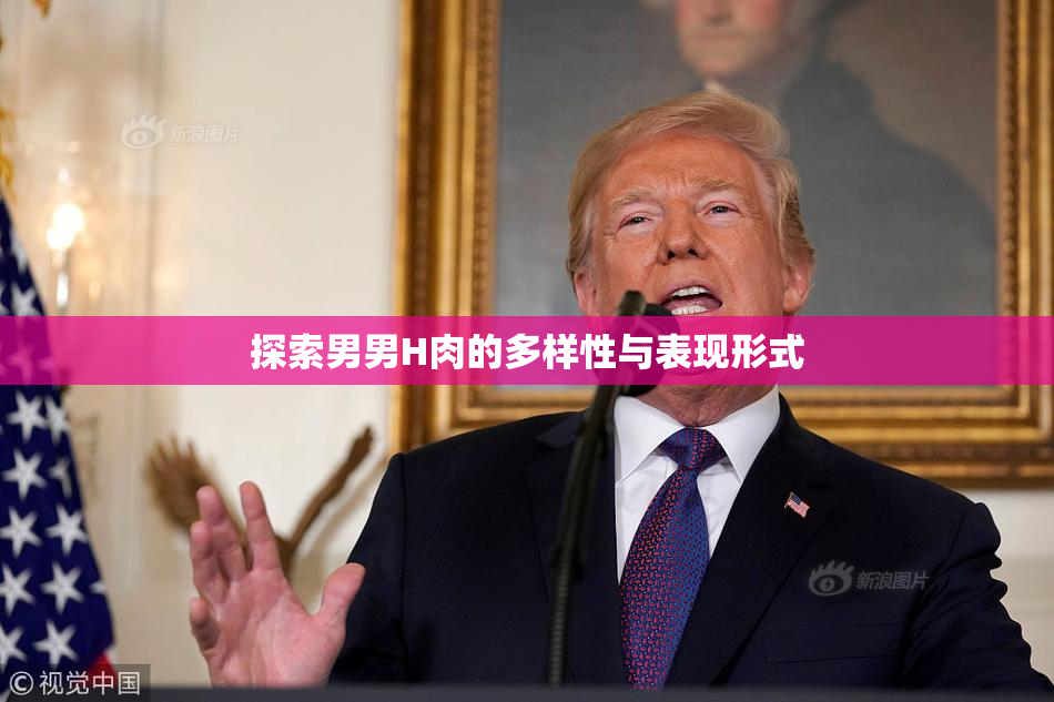 探索男男H肉的多样性与表现形式