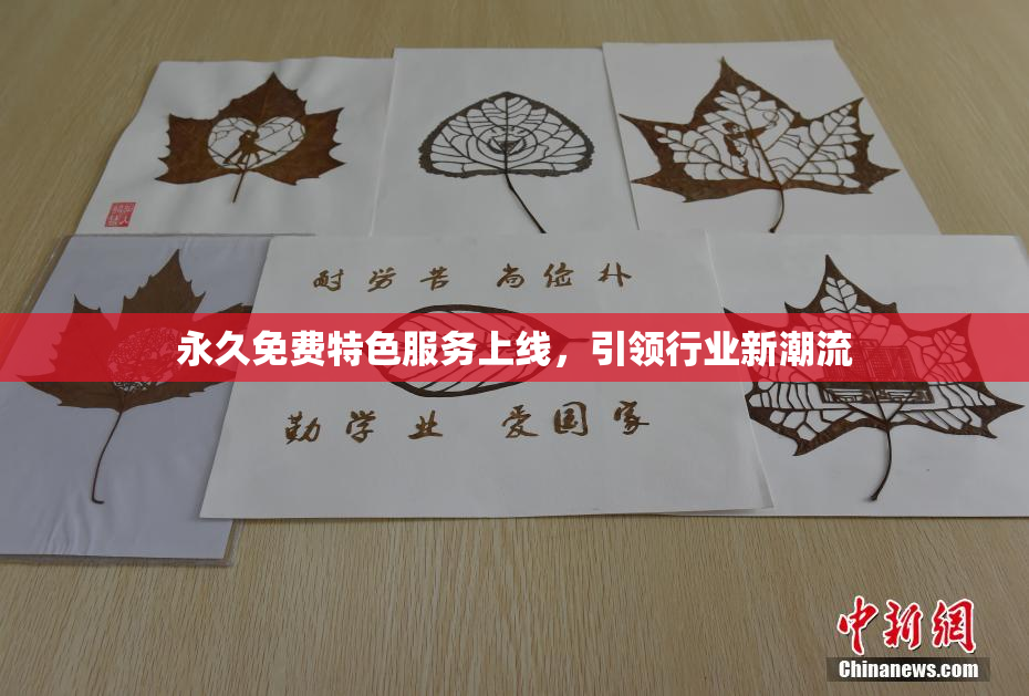 永久免费特色服务上线，引领行业新潮流