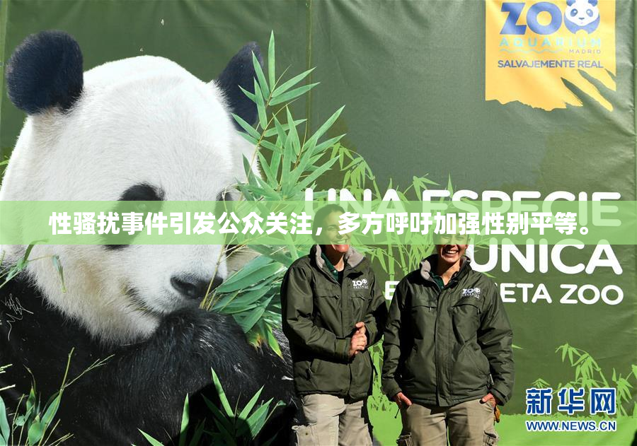 性骚扰事件引发公众关注，多方呼吁加强性别平等。
