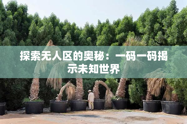 探索无人区的奥秘：一码一码揭示未知世界