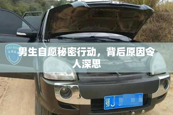 男生自愿秘密行动，背后原因令人深思