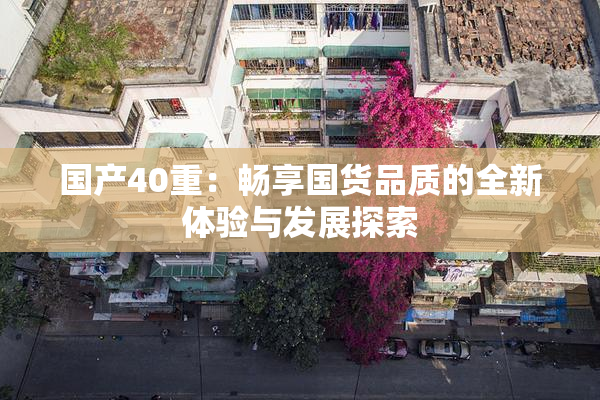 国产40重：畅享国货品质的全新体验与发展探索