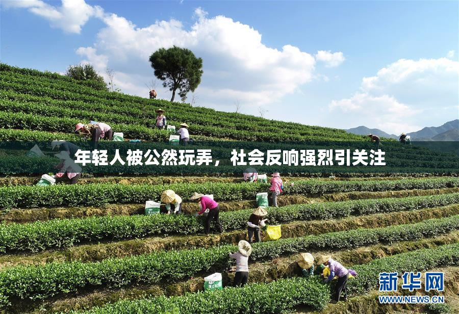年轻人被公然玩弄，社会反响强烈引关注