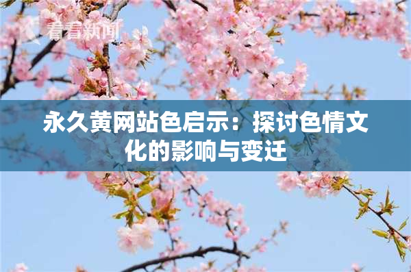 永久黄网站色启示：探讨色情文化的影响与变迁