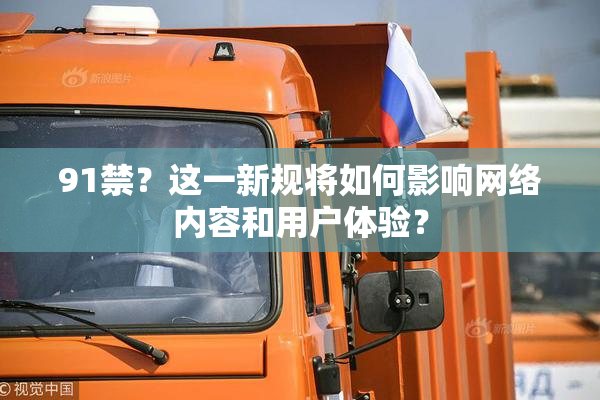 91禁？这一新规将如何影响网络内容和用户体验？